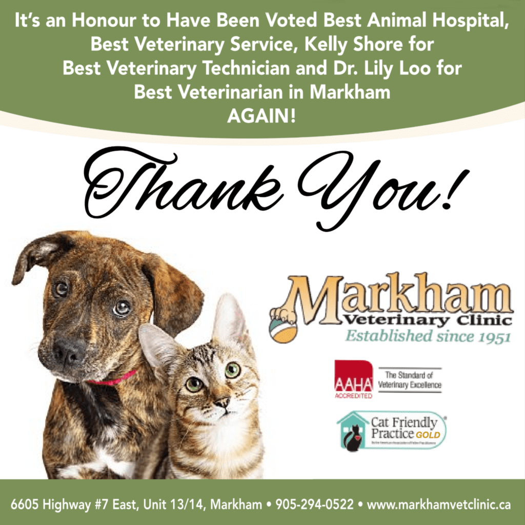 Markham Veterinary Clinic voted Best Animal Hospital, Best Veterinary Service, Kelly Shore for Best Veterinary Technician and Dr. Lily Loo for Best Veterinarian in Markham!