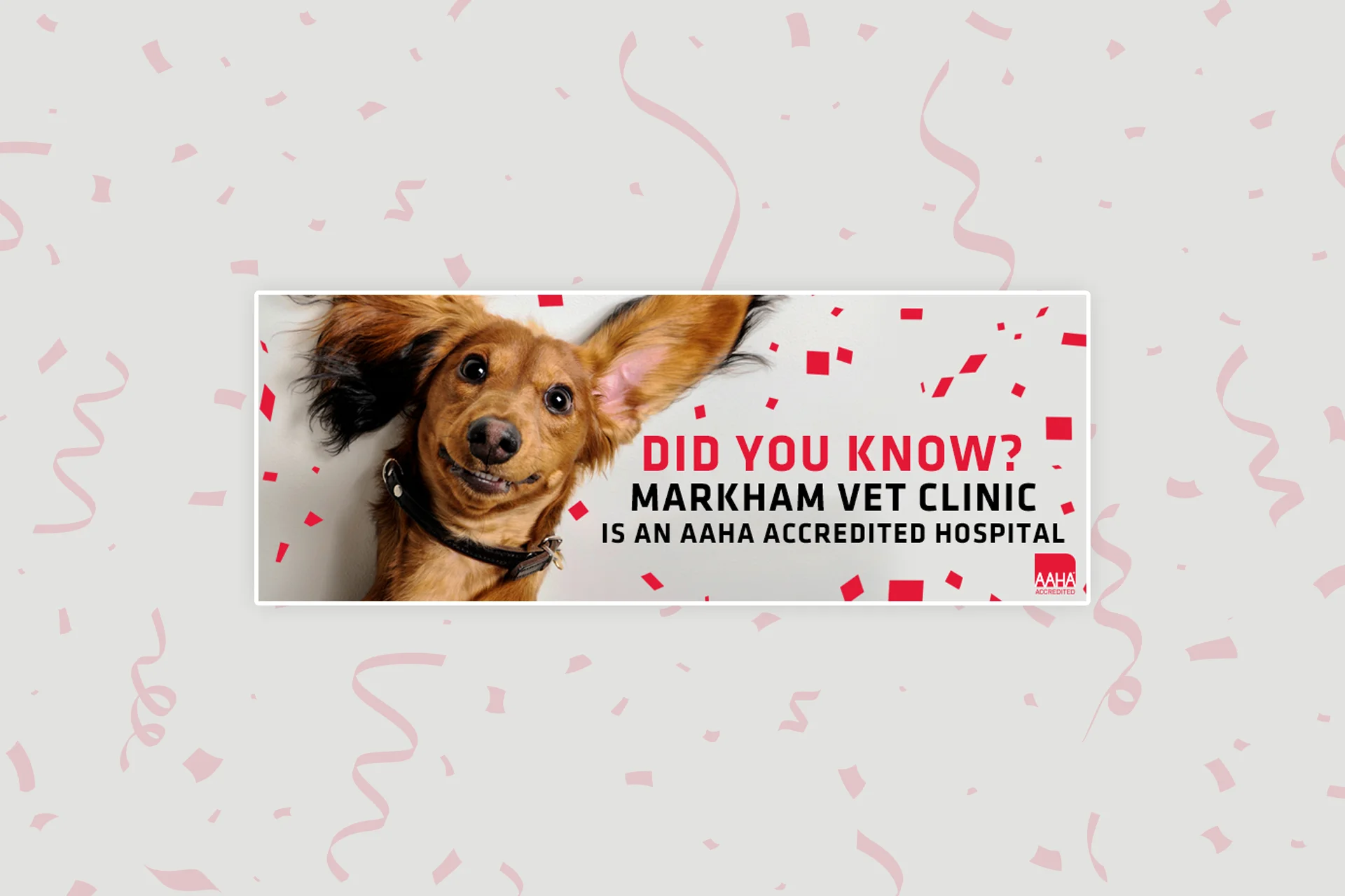 Did you know? Markham Vet Clinic is an AAHA Accredited Hospital