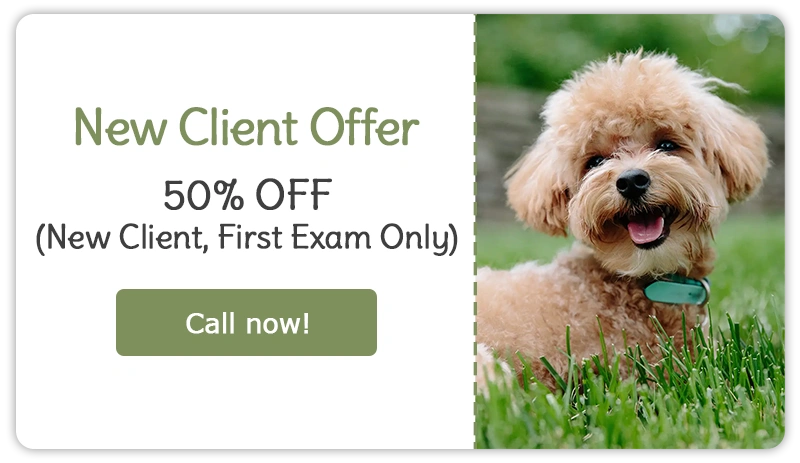 New Client Offer! 50% OFF (New Client, First Exam Only)