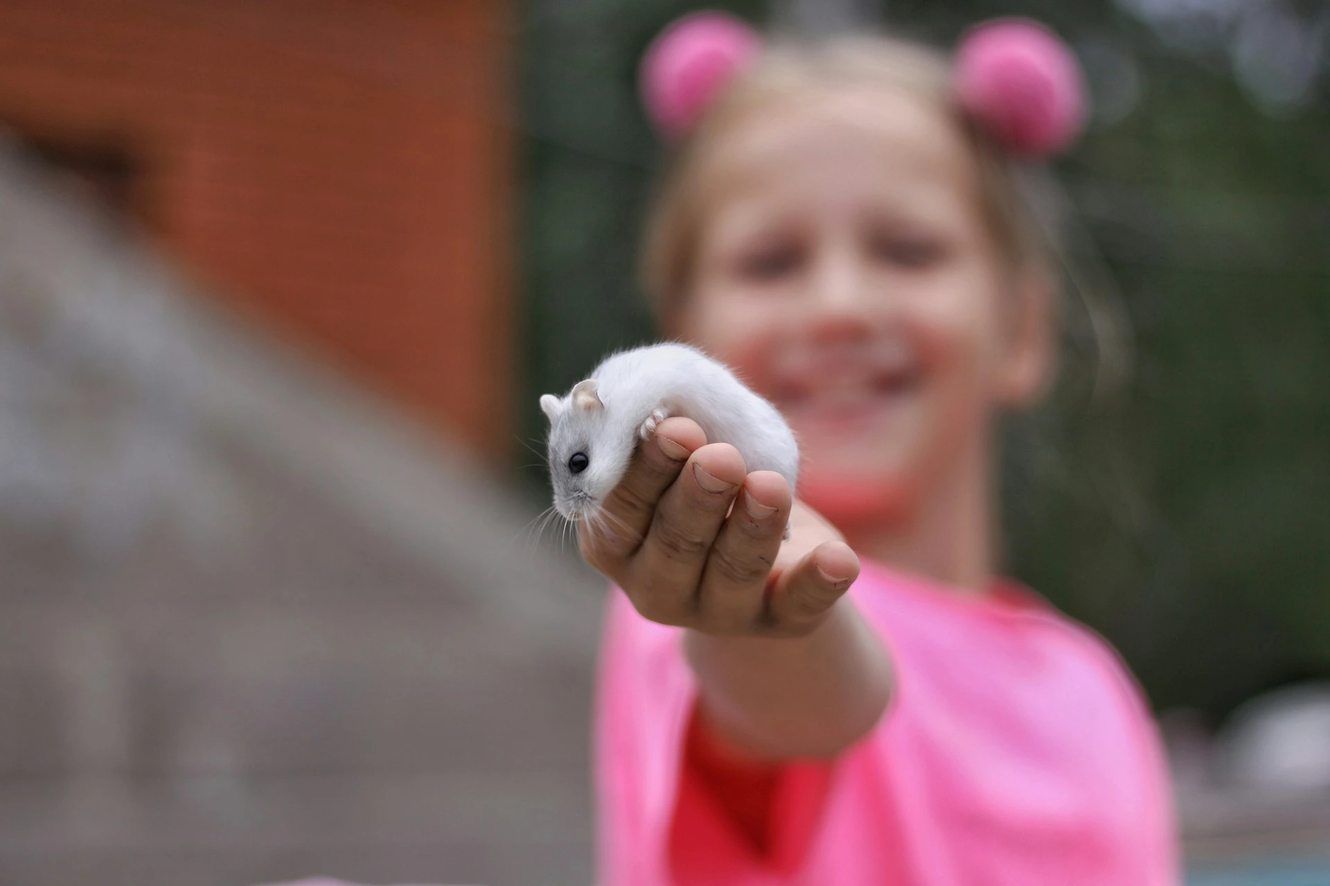 A hamster is being held out by a girl wearing a pink shirt.
