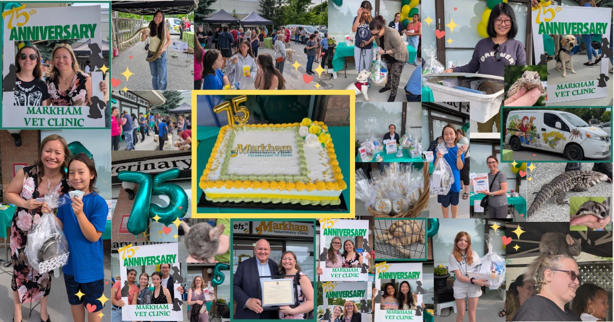75th Anniversary Party