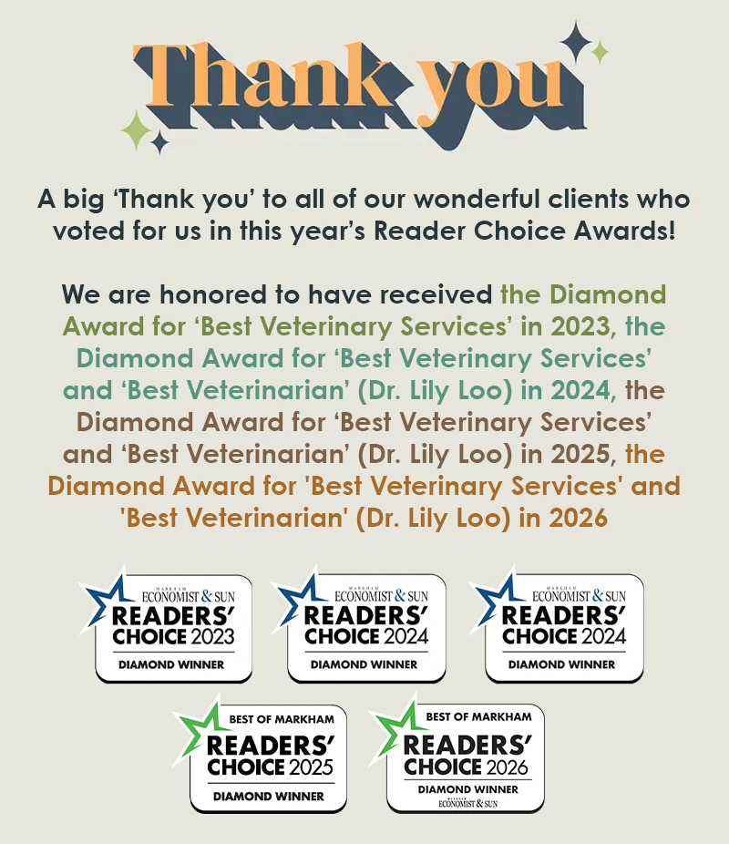 Thank you graphic with Readers' Choice Diamond Winner badges, 2023 through 2026